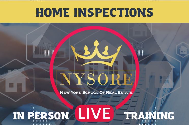 NYSORE 7